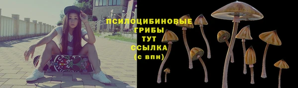 соль ск Алзамай