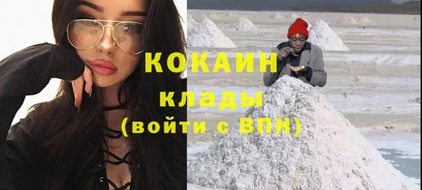 соль ск Алзамай