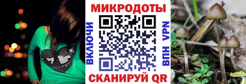 Галлюциногенные грибы мухоморы купить MEGA зеркало Минусинск